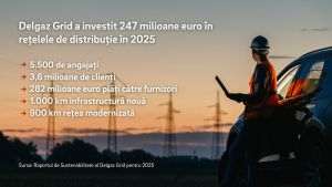 Delgaz Grid: Investiţii de 247 milioane euro în reţele şi 1.000 km de infrastructură nouă